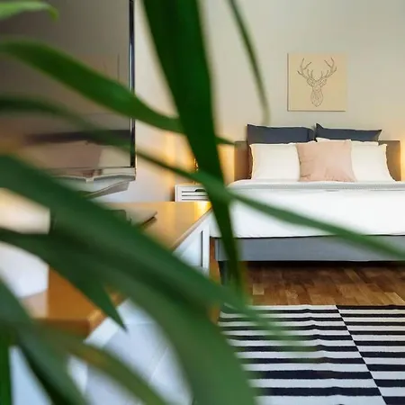 Apartment Good Vibes *